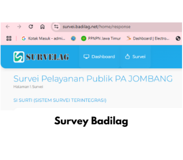 survey badilog